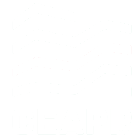 CEAPP SRL – Costruzioni e appalti pubblici